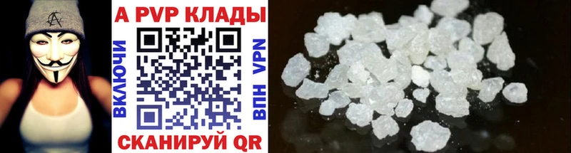 закладки Камень-на-Оби APVP крисы CK